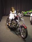 [b]Bike Expo 2007